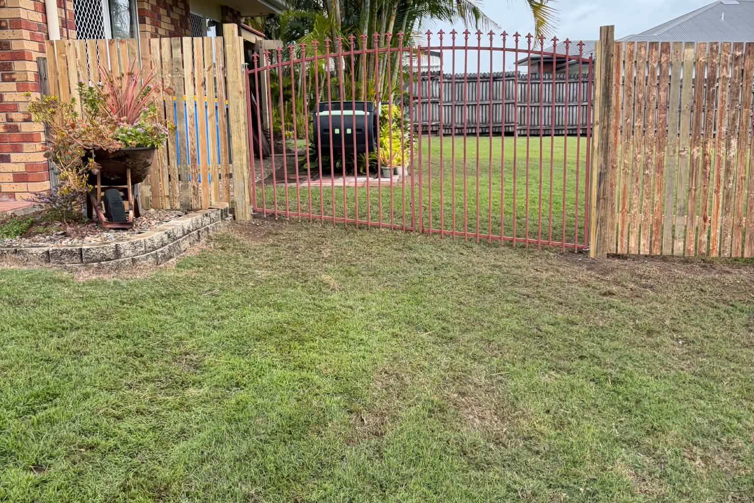 Completed timber fence and steel gate with fresh lawn, Mackay backyard